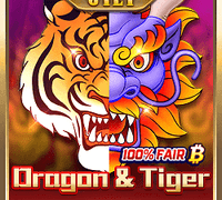 Dragon & Tiger